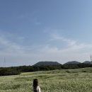 대한목장 이미지