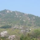 석대사거리주변 | 0904 11금정산의상대및탐방산행