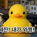 헤라뷰티아카데미