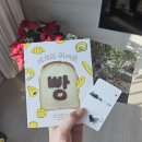 1298 | 책보냥__ 고양이 한옥서점 데이트, 성북동 놀거리 한성대 산책