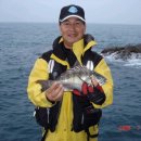 (주)테스터코리아 이미지
