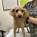 문산 홈플러스 앞 이미지