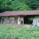 솔섬민박 이미지