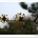 햇살좋은 이미지