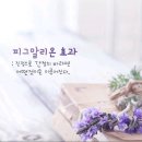 2021 창립배 남자 우승 (피그말리온) 이미지