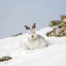부천역사(주) 이미지