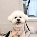 귀엽꾸멍 이미지