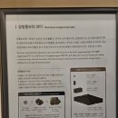 서양새마을금고 | 한국은행 금요강좌 &amp; 화폐박물관 후기(2탄)