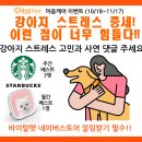 덴탈왕 이미지