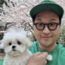 멍아일랜드 | 미사 아일랜드 펫존 이용후기(feat.나혼산 꽃분이)