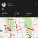 늘하얀세탁소 | 서울 러닝코스추천! 댕댕런 강아지런 코스 및 후기 꿀팁! 우중런 아트런 광화문시작코스