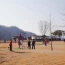 연천파크골프장 Daum카페