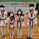 호암태권도 이미지