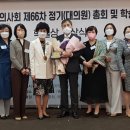 헤브론 이미지