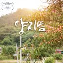 양지뜸 스타투데이