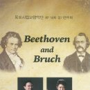 시립교향악단 정기연주회 이미지