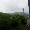 고요한아침