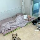 바다소풍펜션 이미지