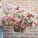 아셀플레르