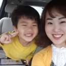 돕스헤어(시그니처)