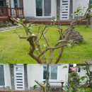 고성2119 이미지