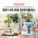 진주 화분만들기 공방 원데이클래스 힙팟 다육 식물