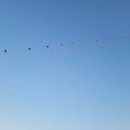 포교경로당 이미지