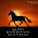 천리마