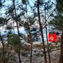 솔숲하우스 이미지