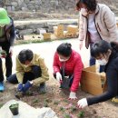 정왕2동 행정복지센터 이미지