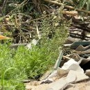 세븐일레븐전주건지점 | [4월] 내 시간만 빠르게 지나가나봐