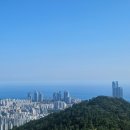 장산억새밭 | 부산 장산 억새밭 10월 미리 가을맞이| 주차장 장산 대천공원 코스 소개