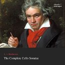 첼로 (행복한 첼로) | [공연] 게리호프만 첼로 리사이틀 : 베토벤 소나타 전곡 연주 (ACC 예술극장 극장2 시야)