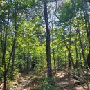 선유주유소 이미지