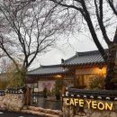 [김포] 벚꽃 맛집 비 오는 날 가기 좋은 한옥 카페 카페연 CAFE YEON