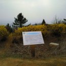 망우산 2보루 이미지
