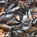 에브리데이서충주점 이미지