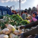 철원 평화마을  유곡 캠핑장 이미지