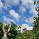 노블린카 이미지