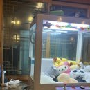 한터 푸드