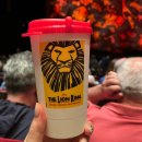 시카고뽑's | 뉴욕 브로드웨이 뮤지컬 추천 라이온킹 예매 가격 할인 꿀팁 후기