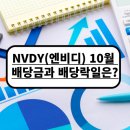 엔비디