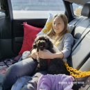 석양이 예쁜집 이미지