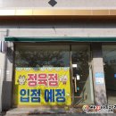 썬팅의명수