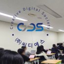 수씨디에스주
