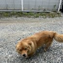 복상골낚시터 이미지