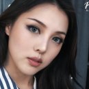 디포니 이미지