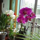 엄마의생활 이미지