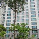 신당인덕3로-9 이미지