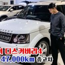 영카랜드 네이버블로그